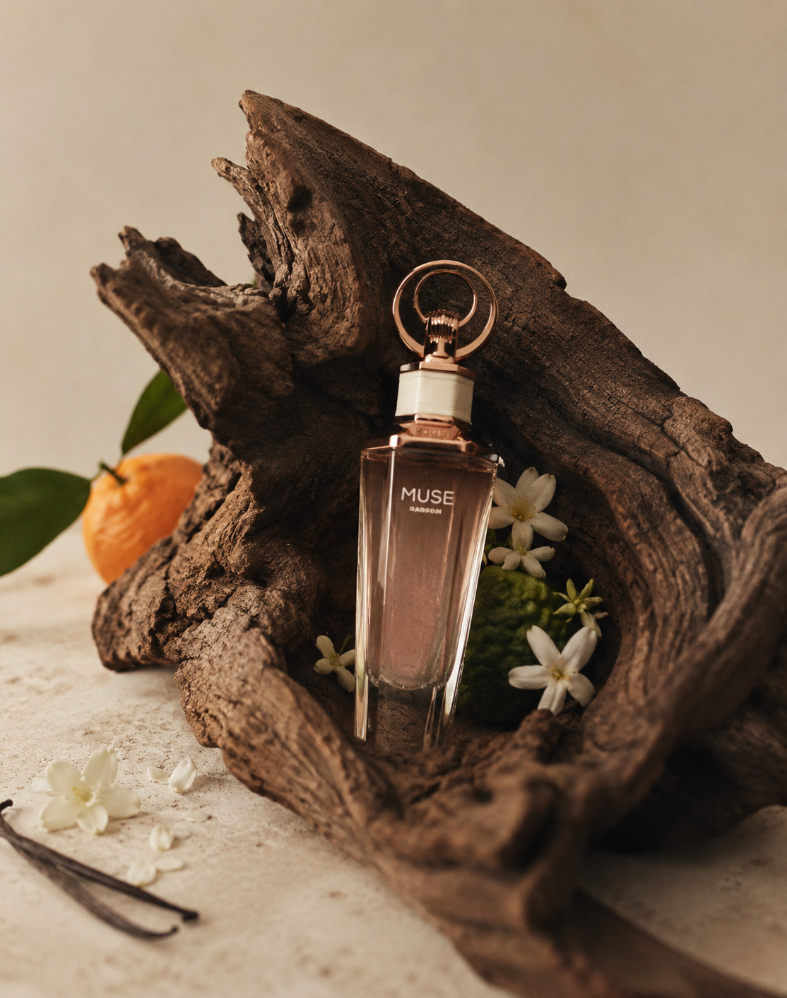 Muse French Avenue