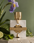 Platine Blanc Aromatix X French Avenue
