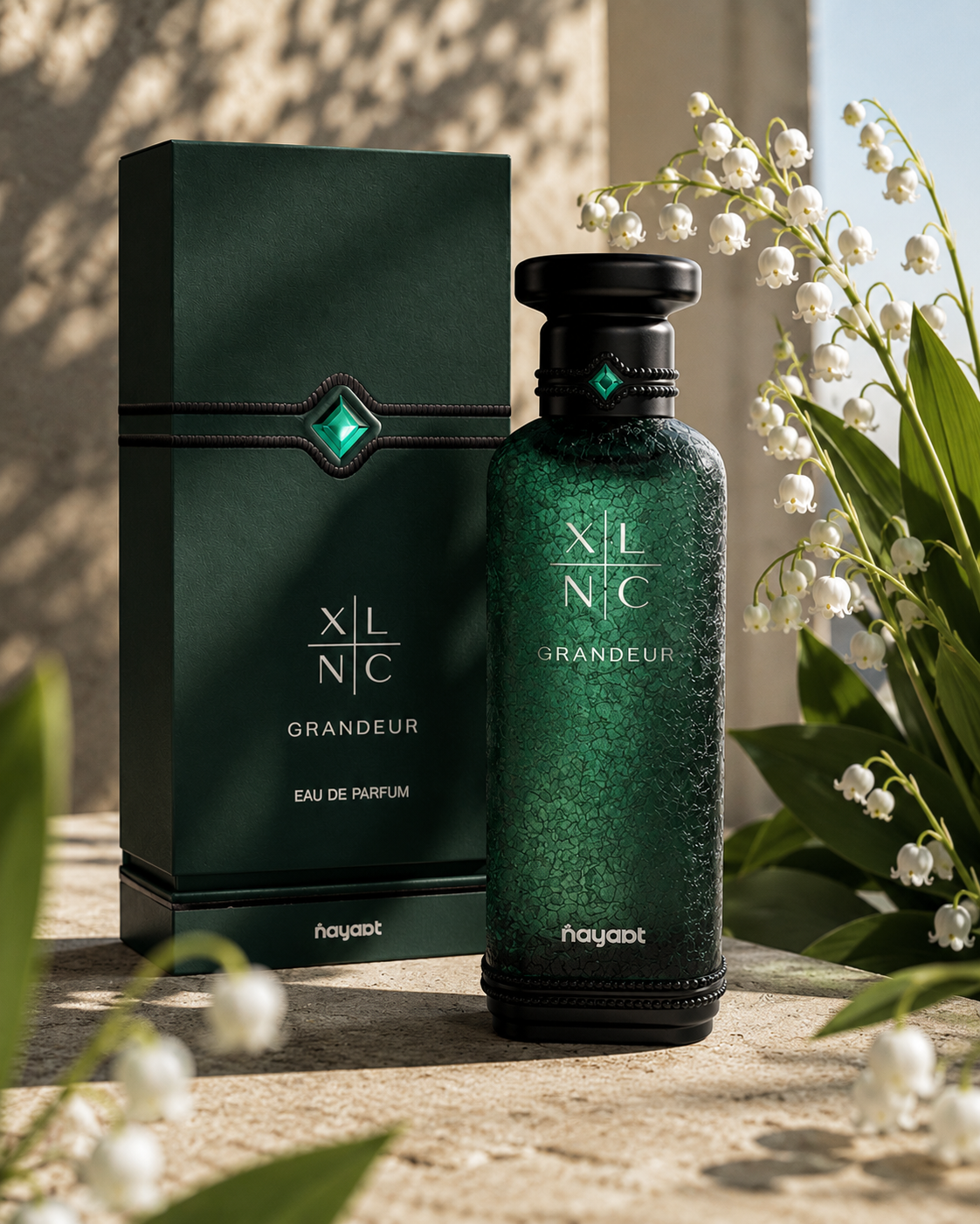 XLNC Grandeur Nayaat